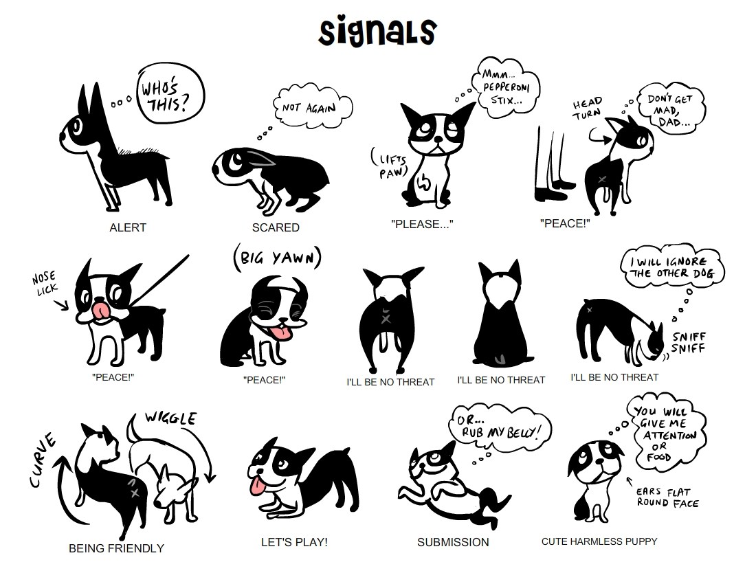 Doggie Signals - From A Dog's View